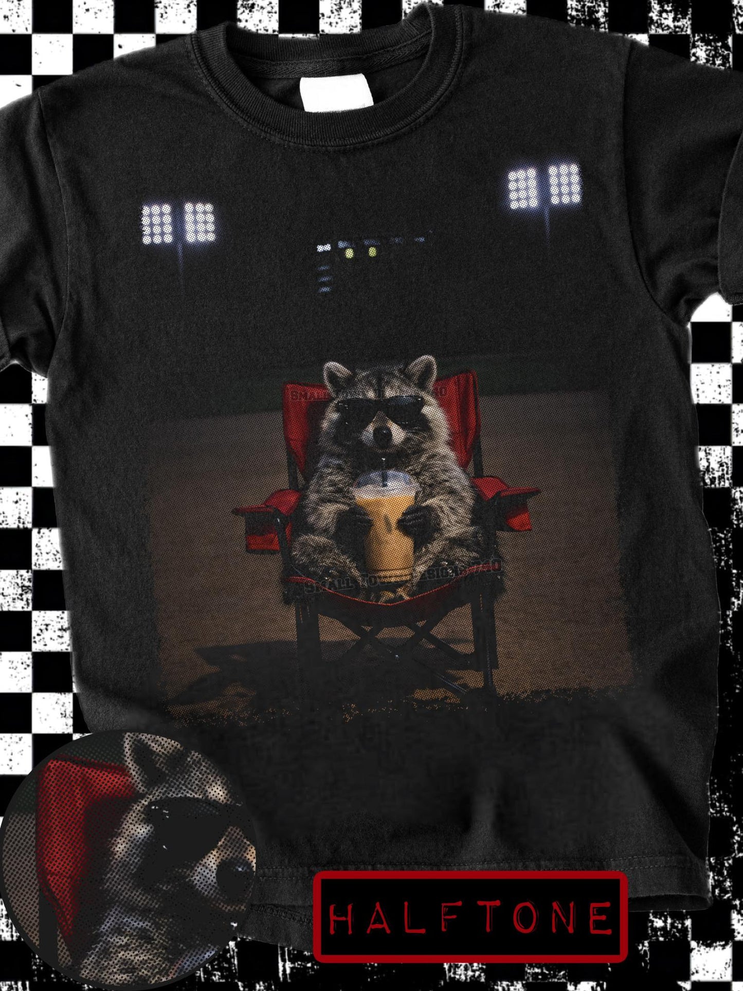 Raccoon in Chair