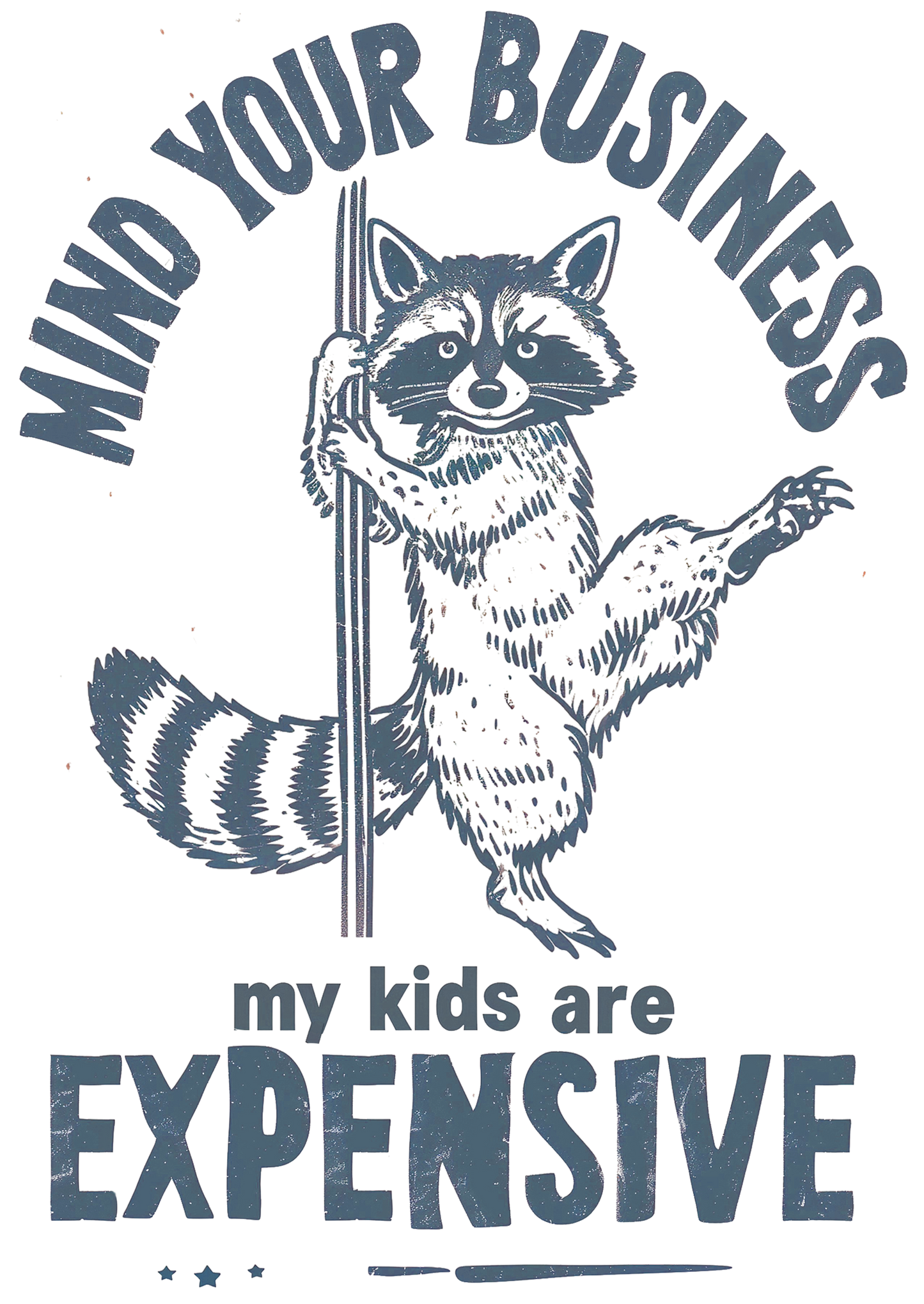Raccoon Funny