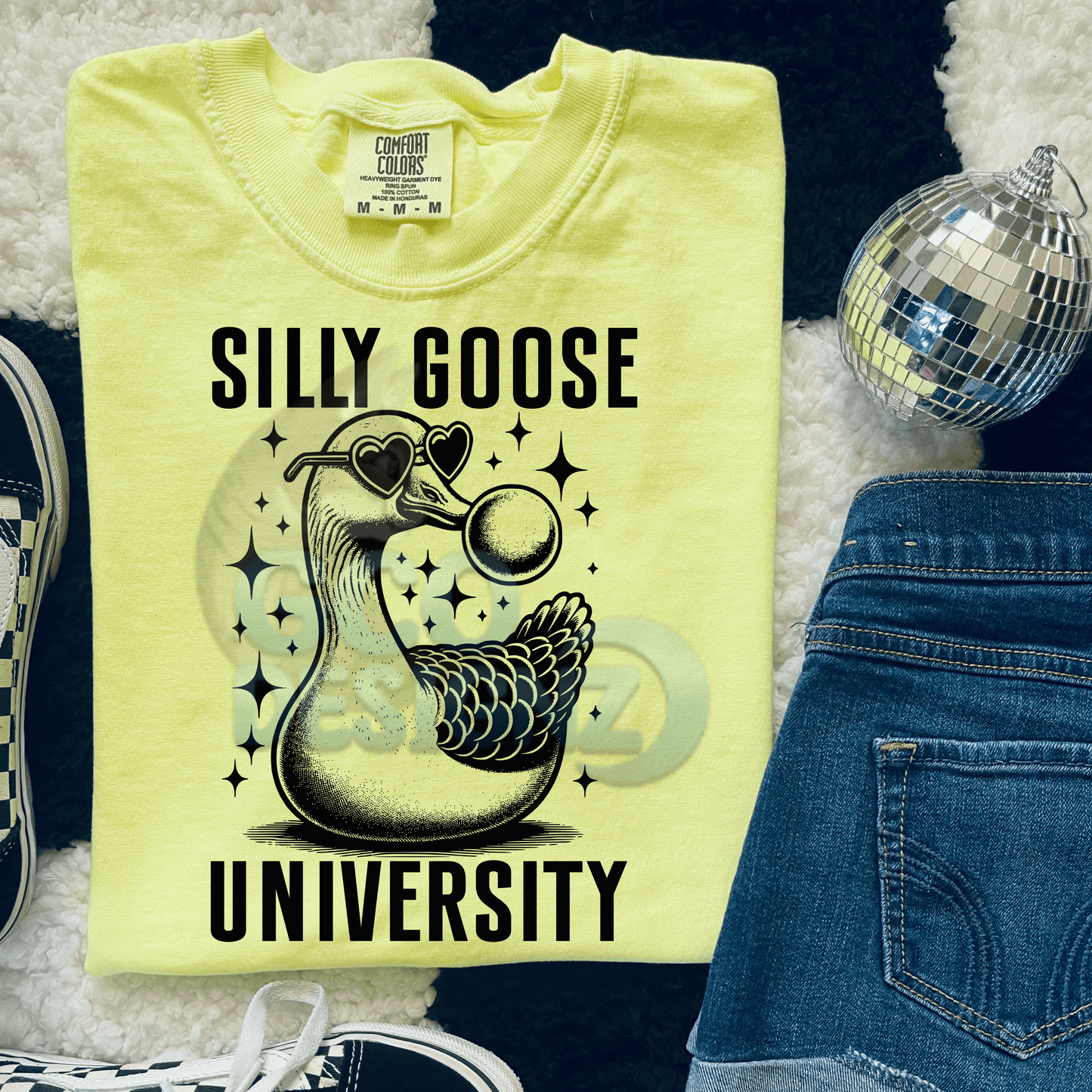 Silly Goose University