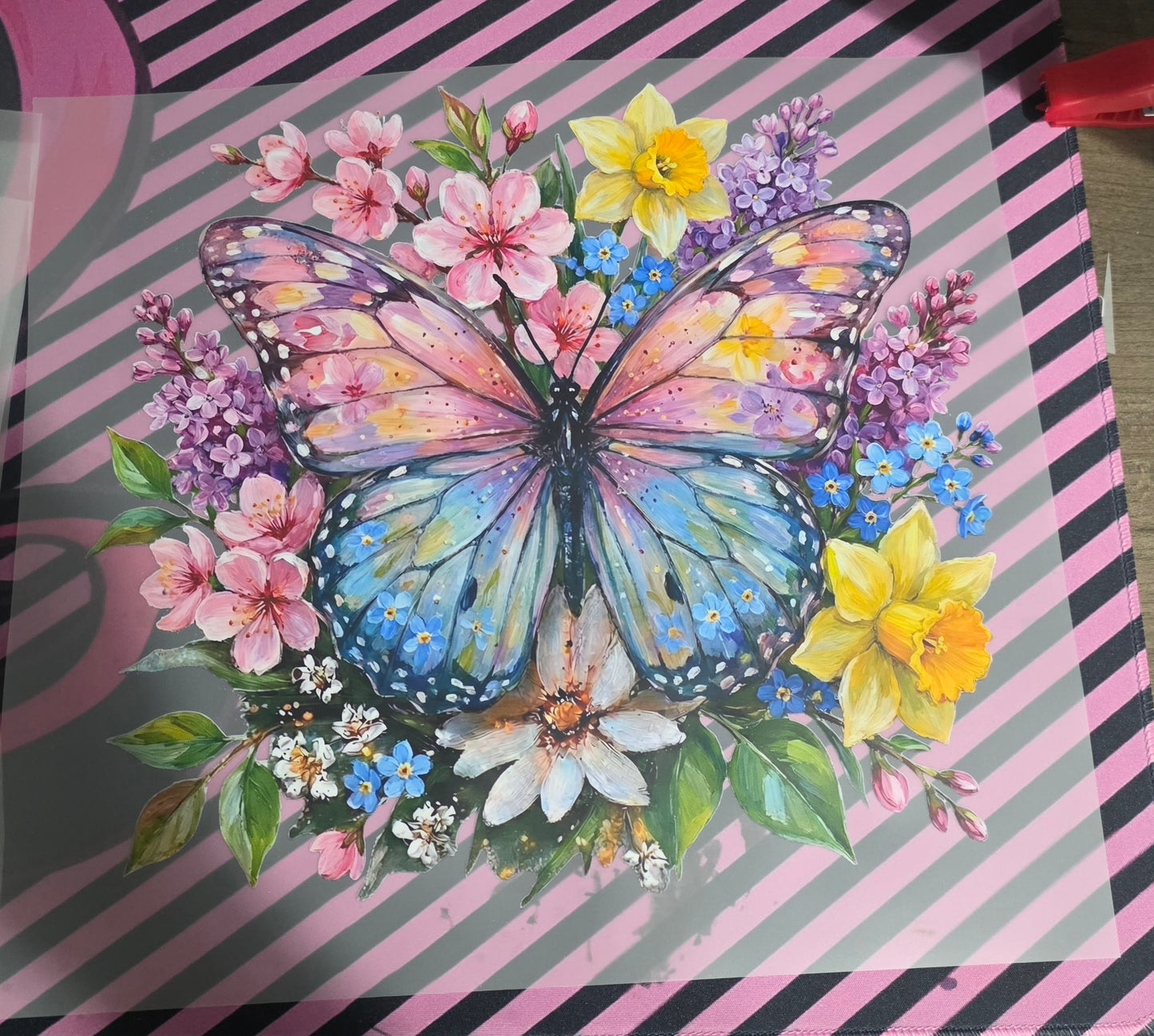 Spring Butterfly