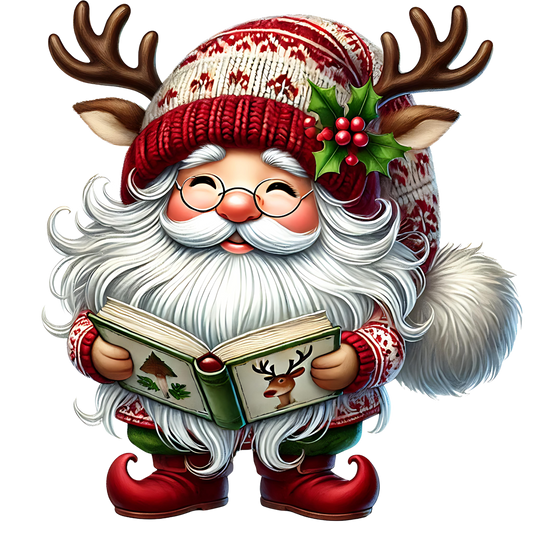 Santa Gnome & Book