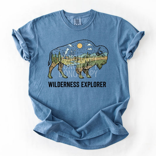 Wilderness Explorer