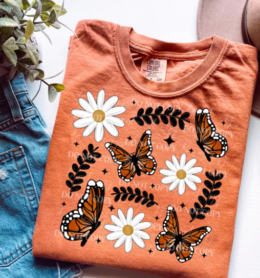 Butterflies and Daisies