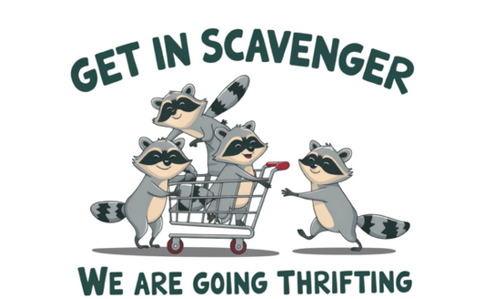 Thrifting Raccoon