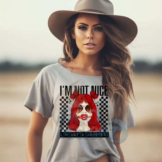 I'm Not Nice