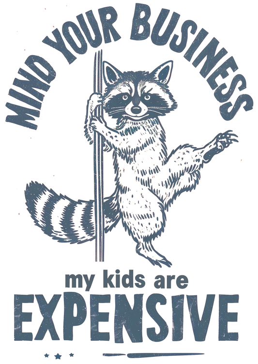 Raccoon Funny