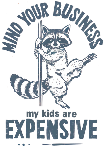 Raccoon Funny