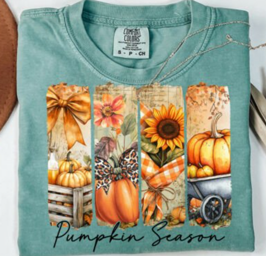 Pumpkin Season