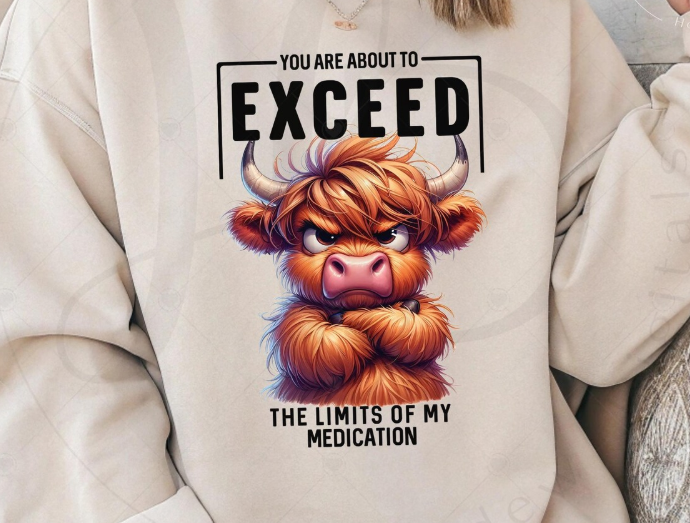 You Are About To Exceed