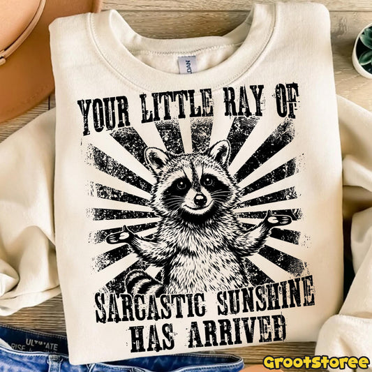 Your Little Ray of Sarcastic Sunshine