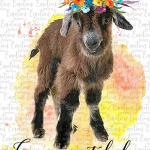 Crazy Goat Lady
