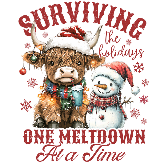 Surviving Christmas