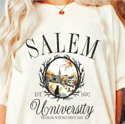 Salem University